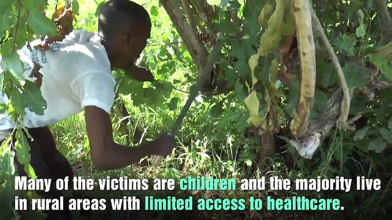 Snakebite- A Neglected Public Health Emergency