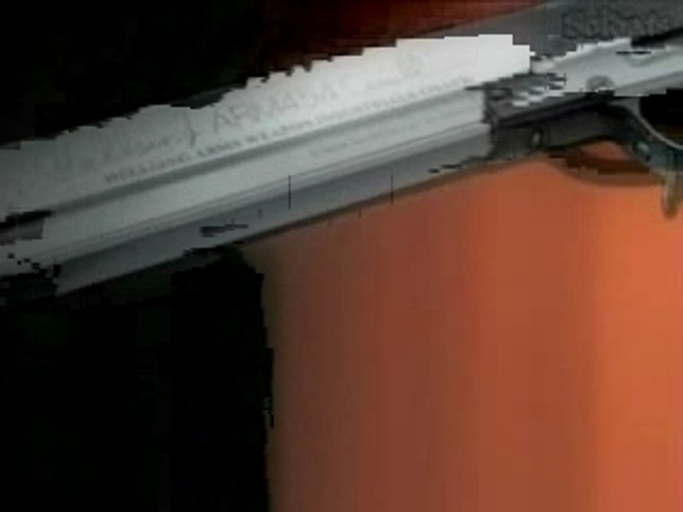 AMV - Hellsing - Rammstein - Hallelujah