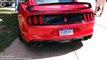 Ford Mustang GT350 R vs Dodge Challenger Hellcat - Sound Exhaust Revs