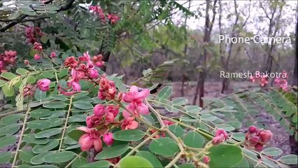 Samsung Galaxy J2 2016 Full Review and Unboxing