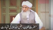 Islam me Insaniyat k lye Tahafuz ( Dars e Quran Bad Namaz Asar 10-08-2016 )
