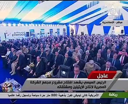 السيسي يستمع لشرح حول استراتيجية البترول لتطوير صناعة البتروكيماويات