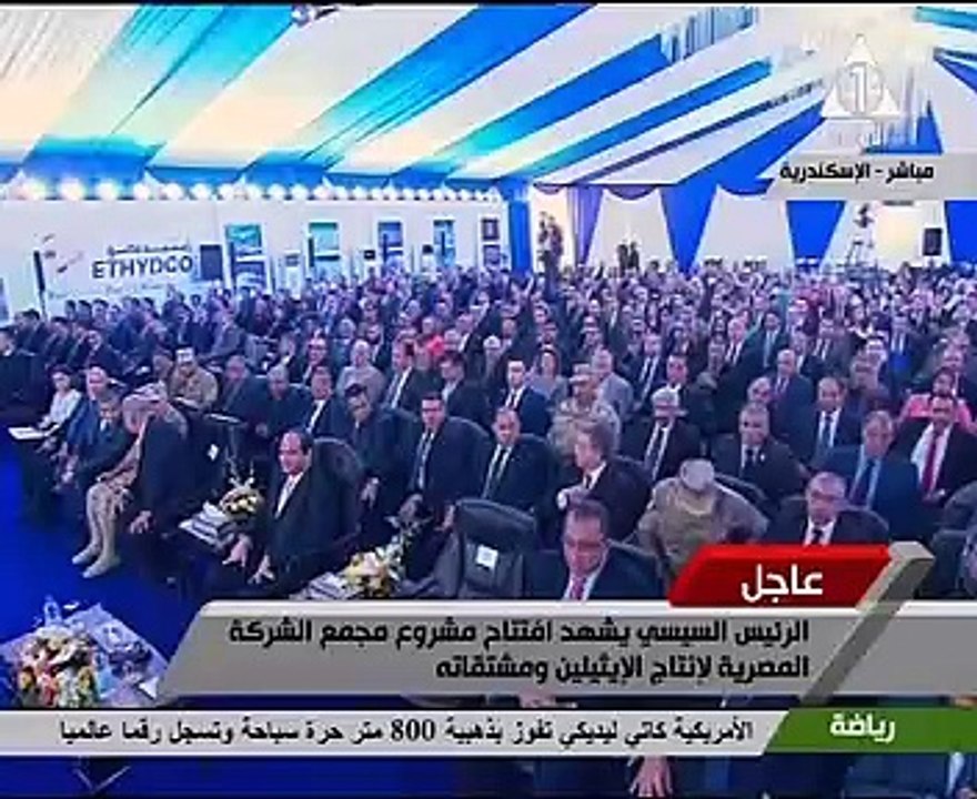 السيسي يستمع لشرح حول استراتيجية "البترول" لتطوير صناعة البتروكيماويات