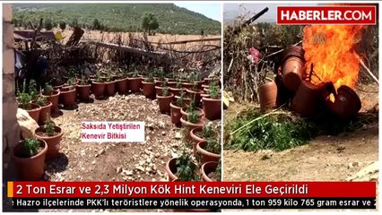 2 Ton Esrar ve 2,3 Milyon Kök Hint Keneviri Ele Geçirildi