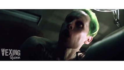JOKER | Vexing Quinn