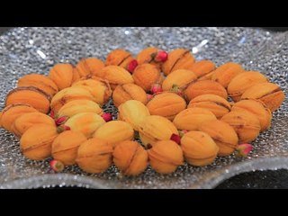 الجوزية | غادة التلي