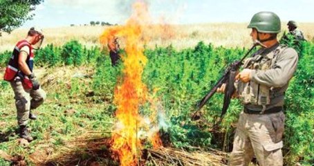 "Bayrak-17 Şehit Yaşar Yeniören" Operasyonu Bitti! PKK'nın Can Damarı Kesildi