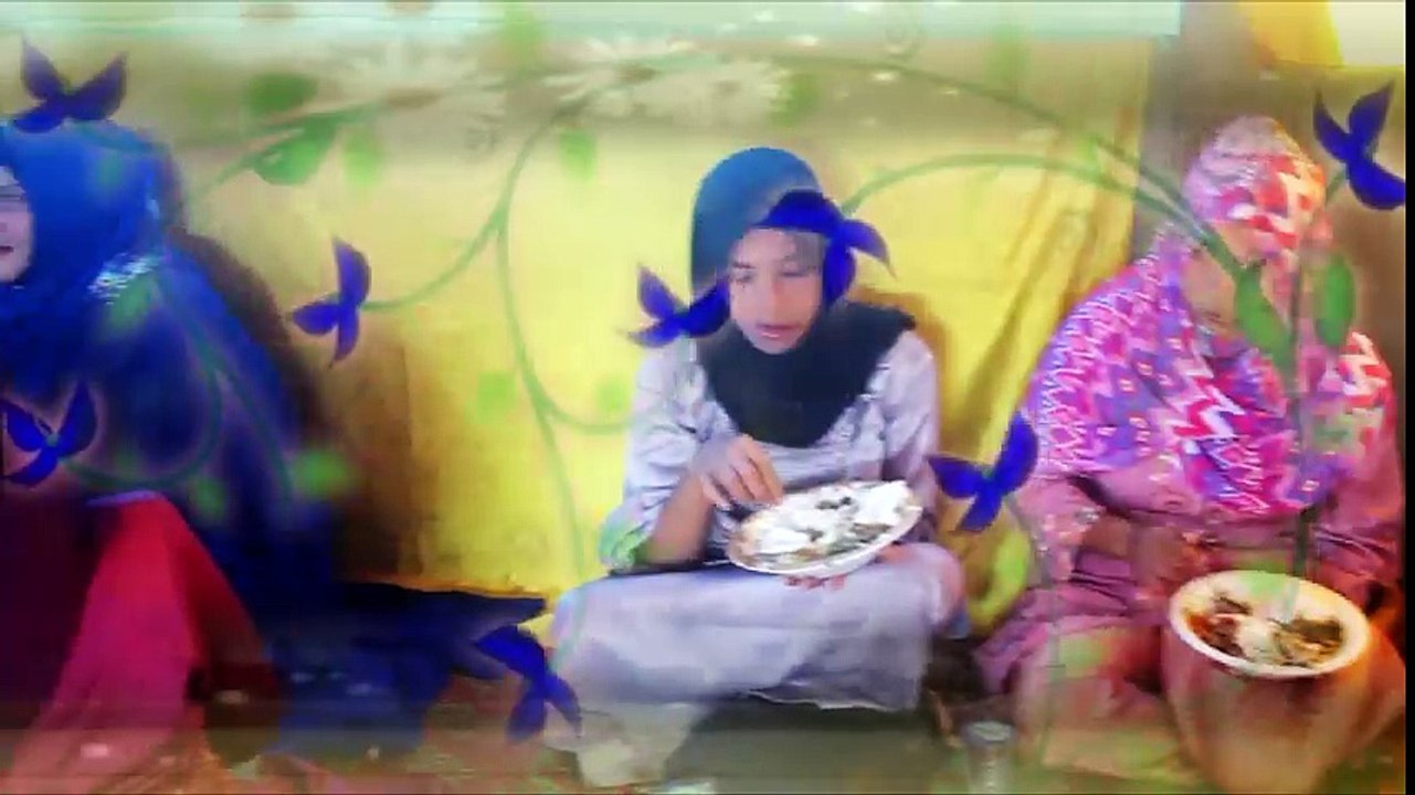 DVD 2