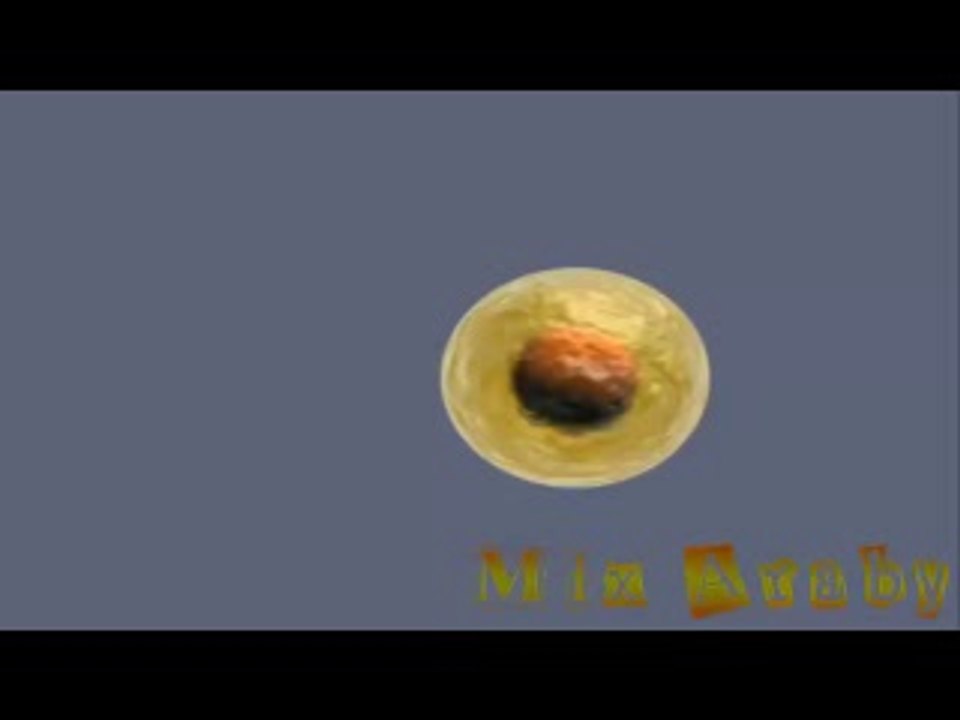كيف يحدث الحمل