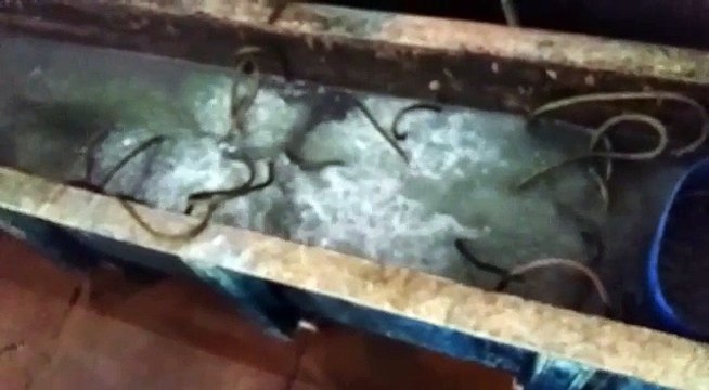 Anchors Fasteners Manufacturers | Fasteners Manufacturer in india, Delhi