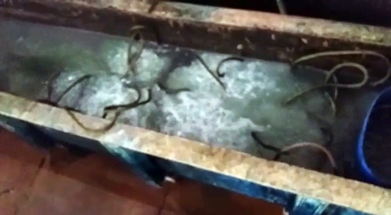 Anchors Fasteners Manufacturers | Fasteners Manufacturer in india, Delhi