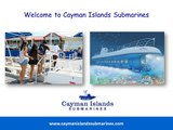 Best Alternatives to Scuba Diving In the Cayman Islands