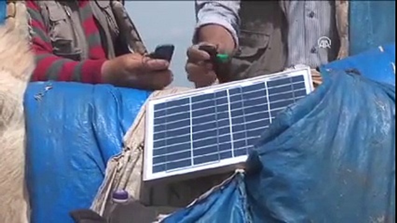Eşeğin Üzerine Güneş Paneli Yerleştirip Telefonu Şarj Etmek