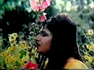 JANIYAN TERE BINA NEEDRAN  NOOR JAHAN