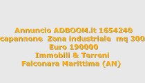 capannone  Zona industriale  mq 300...