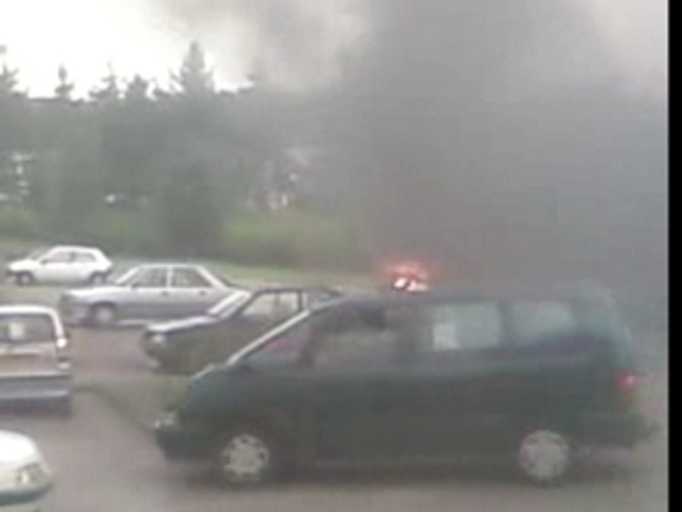 sous le bois voiture brule