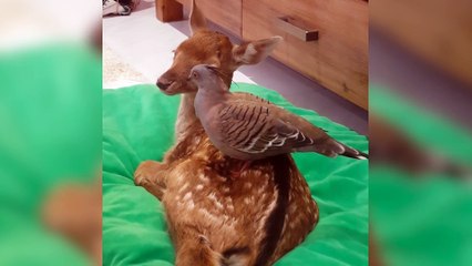 magnifique!!!!!!!!!!!!!!!!!!!!