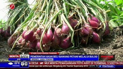 Pemerintah Bakal Beli Bawang Langsung dari Petani