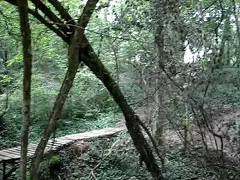 pierre petit croisement