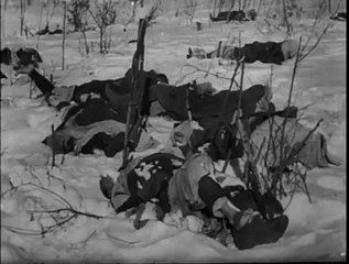 Cautionary Anti-War Film on the Battle of Stalingrad (1959) - "Hunde, wollt ihr ewig leben ?"