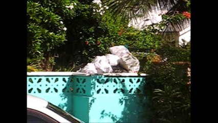 Orchid Close off Sea Breeze Lane, Nassau, Bahamas over Flow of Garbage!