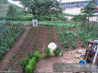 emHOME - vrtprskalica 2006