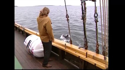 Salkkarit - Akin ja Markuksen tappelu ja Aki poistuu sarjasta (2002)