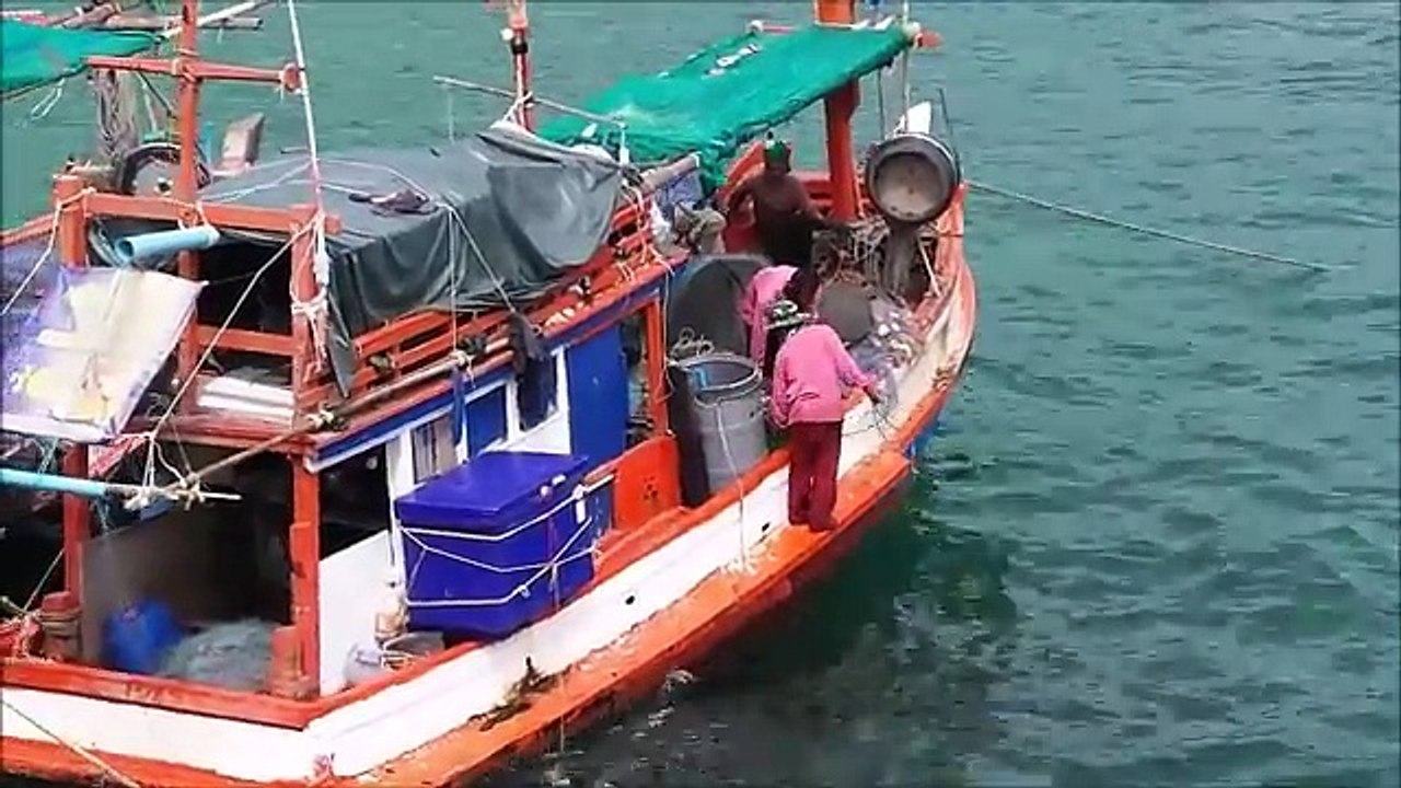 Funny videos, Funny Pranks, Viral videos, Ultra stupid people doing stupid things.