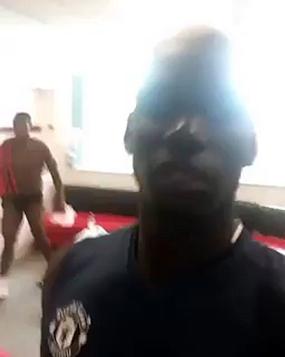 pogba ibrahimovic
