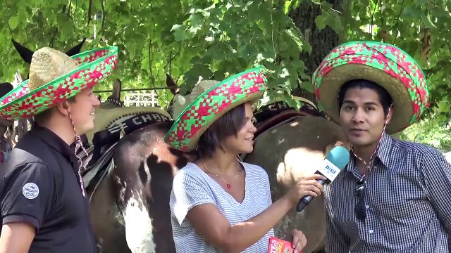 D!CI TV : Les fêtes latinos-mexicaines de Barcelonnette avec Nele Grizar
