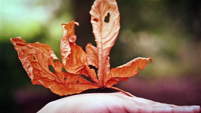 ”Hands” by Louisa van der Meij Photography