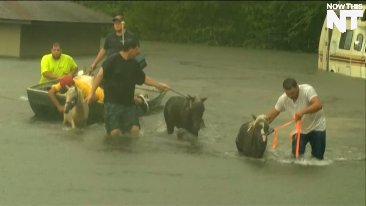 Extreme Flooding Hits Louisiana And Mississippi