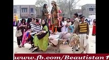 Hum Hai Pakistani Hamhe Nafrat Hai Beimani Tu Very Funny Panjabi Poetry