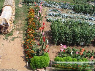 emHOME - withaview 2006