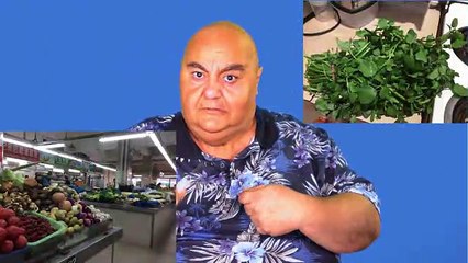 The Pauline Hanson One Nation Potato Peeler