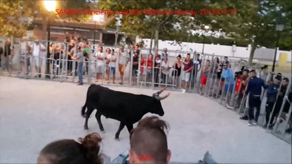 SAMBUC-Encierro-manade Marisma Matray-2016-07-31