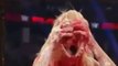 Roman Reigns crashes Rusev and Lana's wedding celebration Raw Aug-8-2016