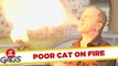 The Roasted Cat Prank - Just For Laughs Gags
