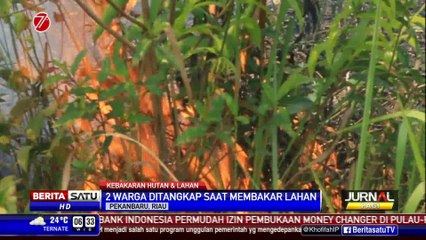 2 Warga Ditangkap Ketahuan Membakar Lahan