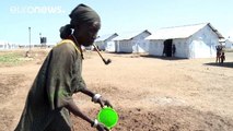 Kalobeyei: O campo de refugiados que quer fazer a diferença