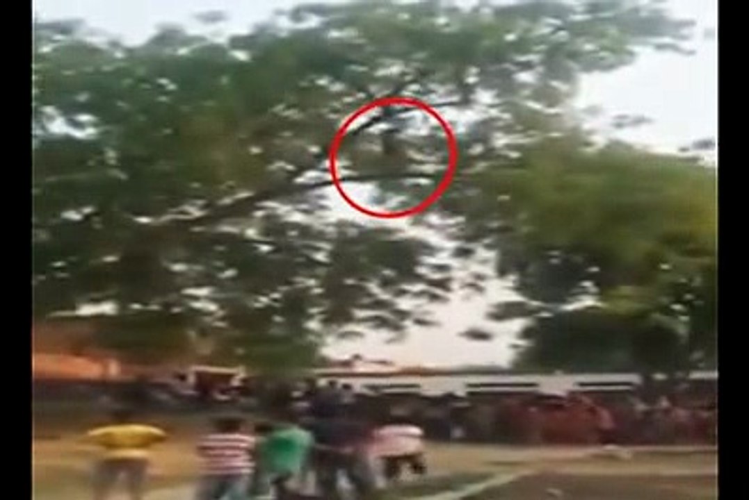 A Muslim girl offering Namaaz on tree