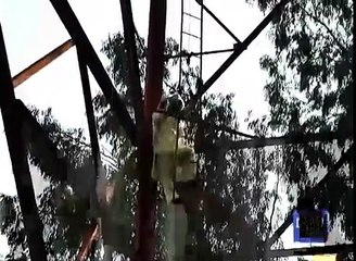 What this young Pakistani did on 14 August  - Watch video