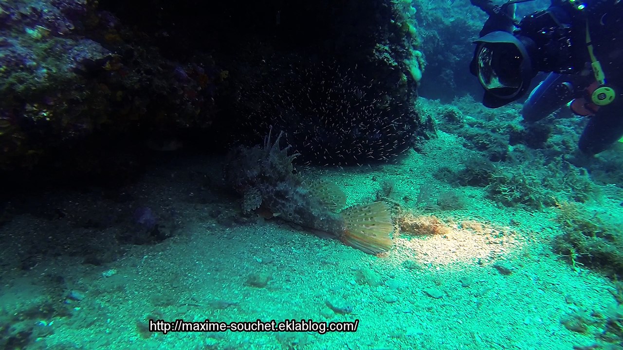 ILES MEDES -LES FERRANELLES