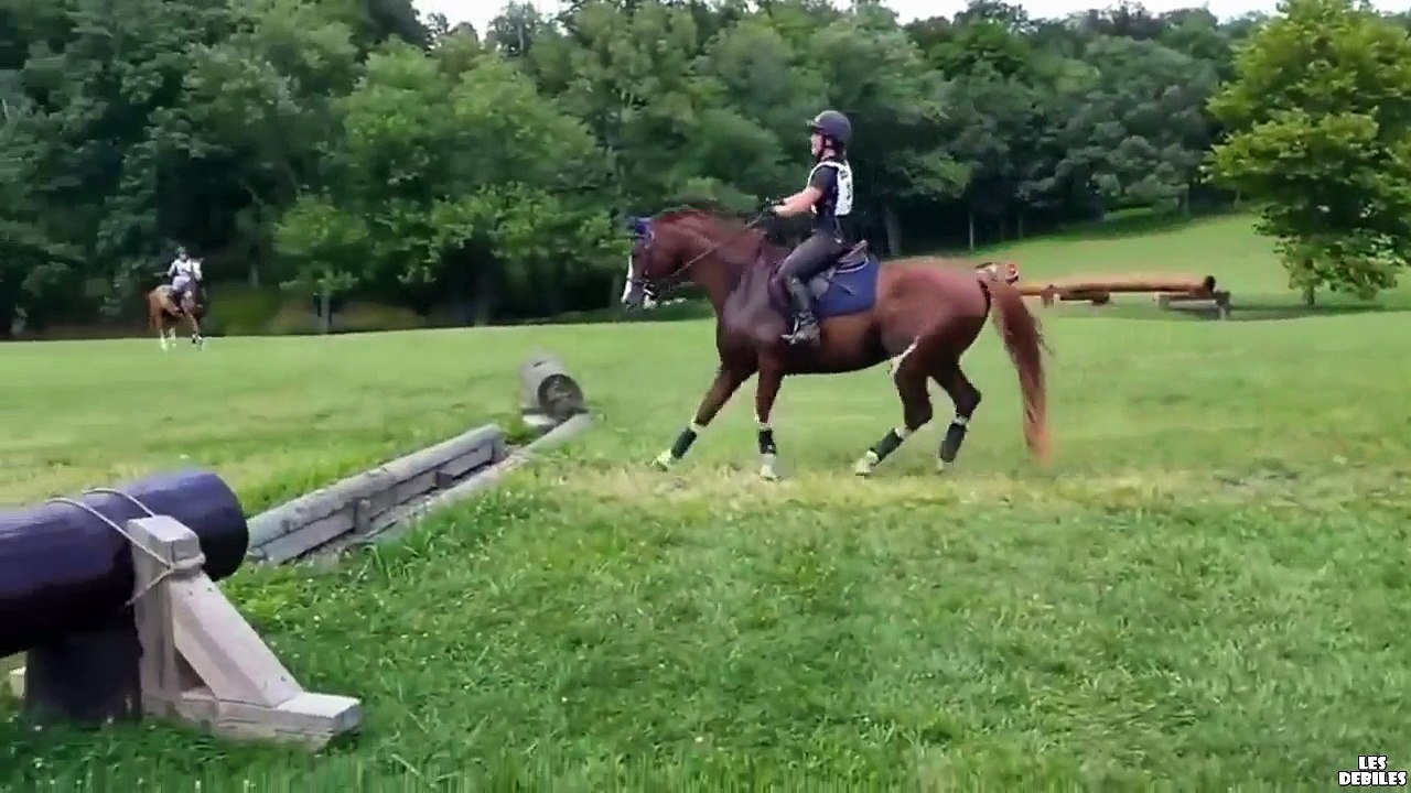 Le saut ridicule d'un cheval