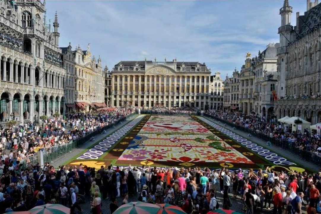 Tapis de fleurs sur la Grand-Place de Bruxelles