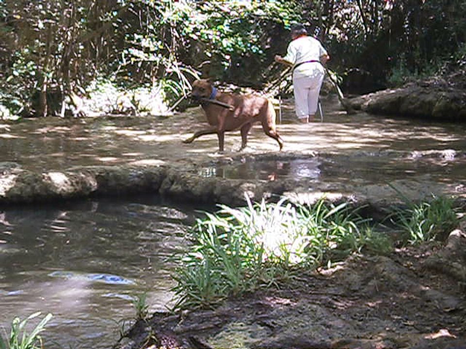 Eros et Lylie août 2016 vidéo n° 5