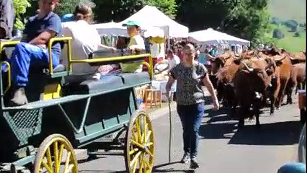 Fête de l'Aiguade à Montgreleix - 2016