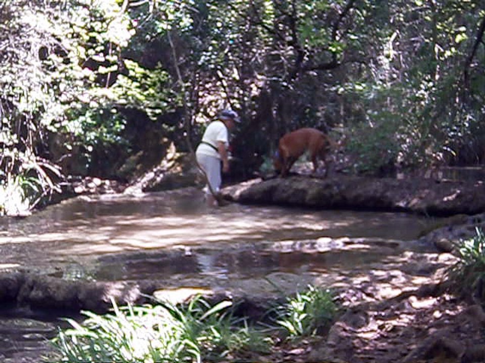 Eros et Lylie août 2016  vidéo n° 6