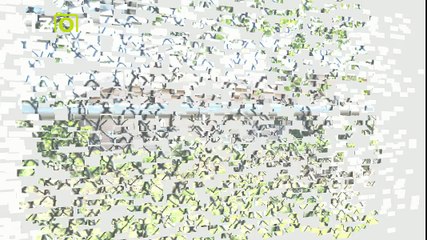 Fallacies Book Trailer