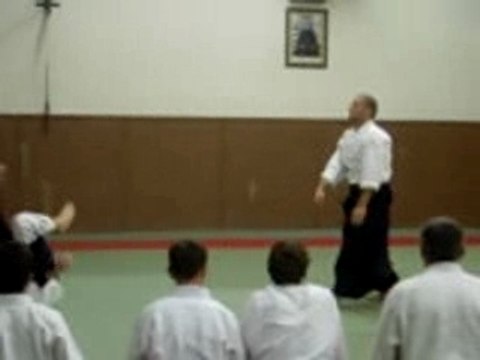 Aikido Yokomen Uchi Irimi Nage